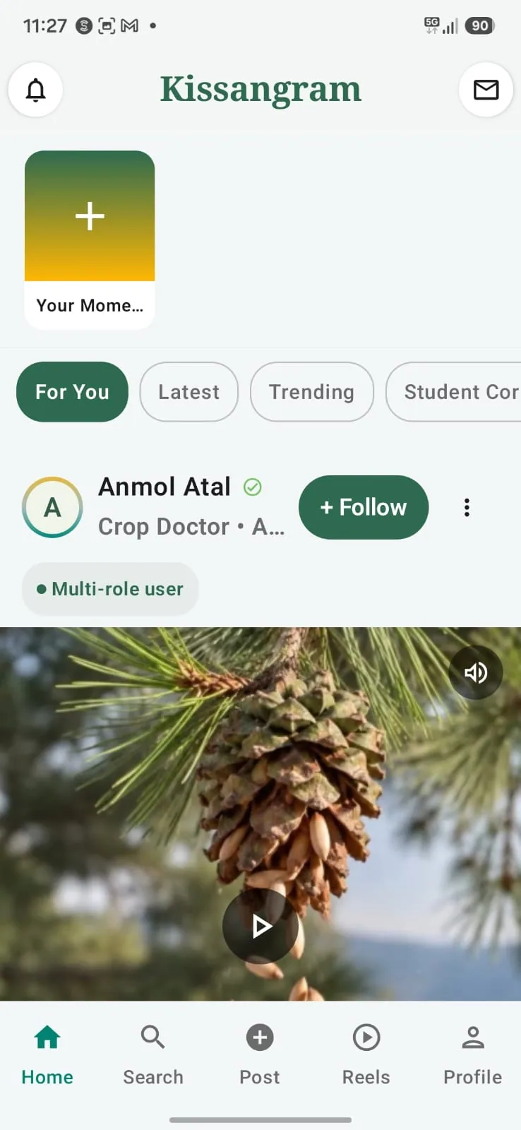 Kissangram app: the For You feed with a video post from a verified crop doctor