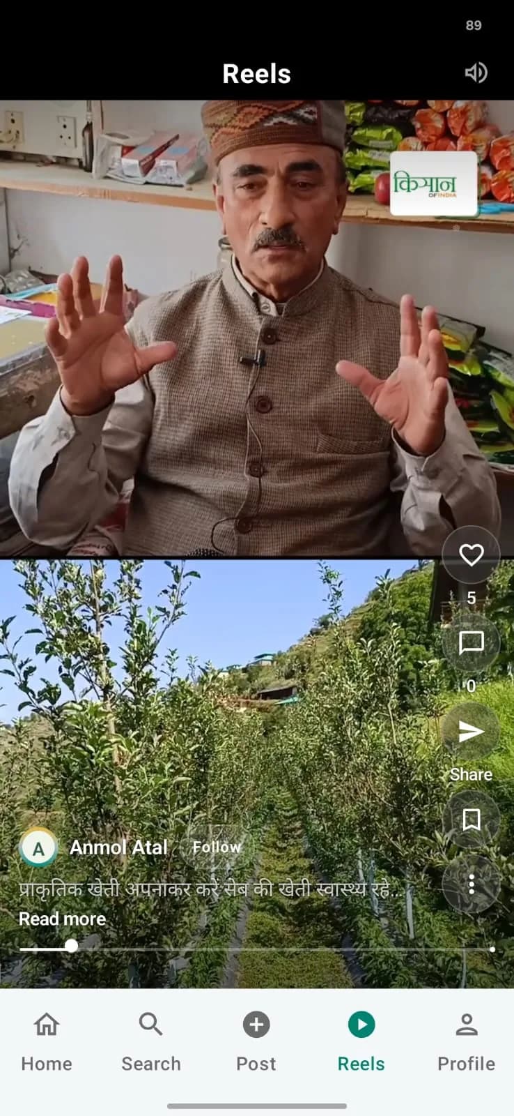 Kissangram app: a reel from an orchard with like, comment, share and save actions
