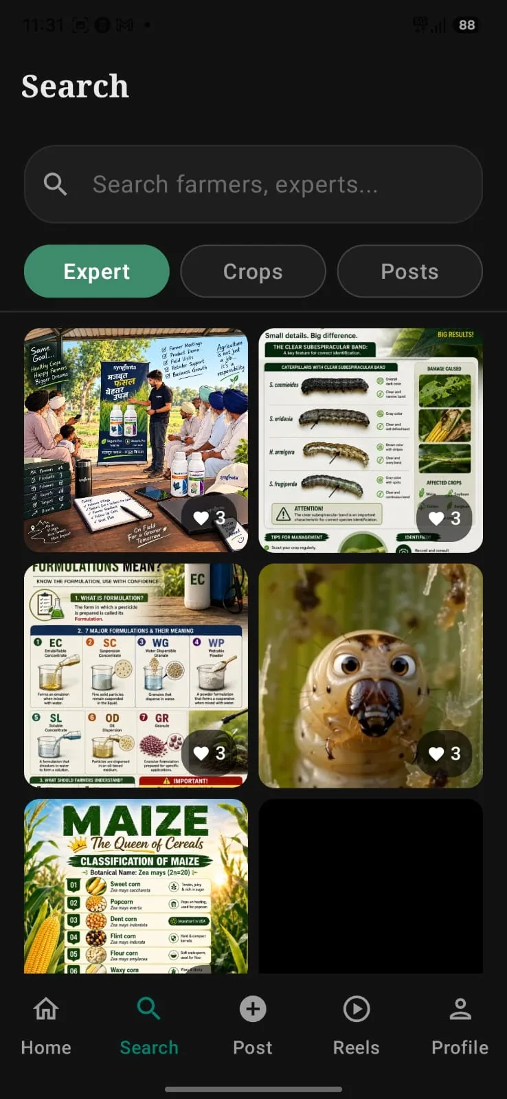 Kissangram app: Search across experts, crops and posts with a grid of results