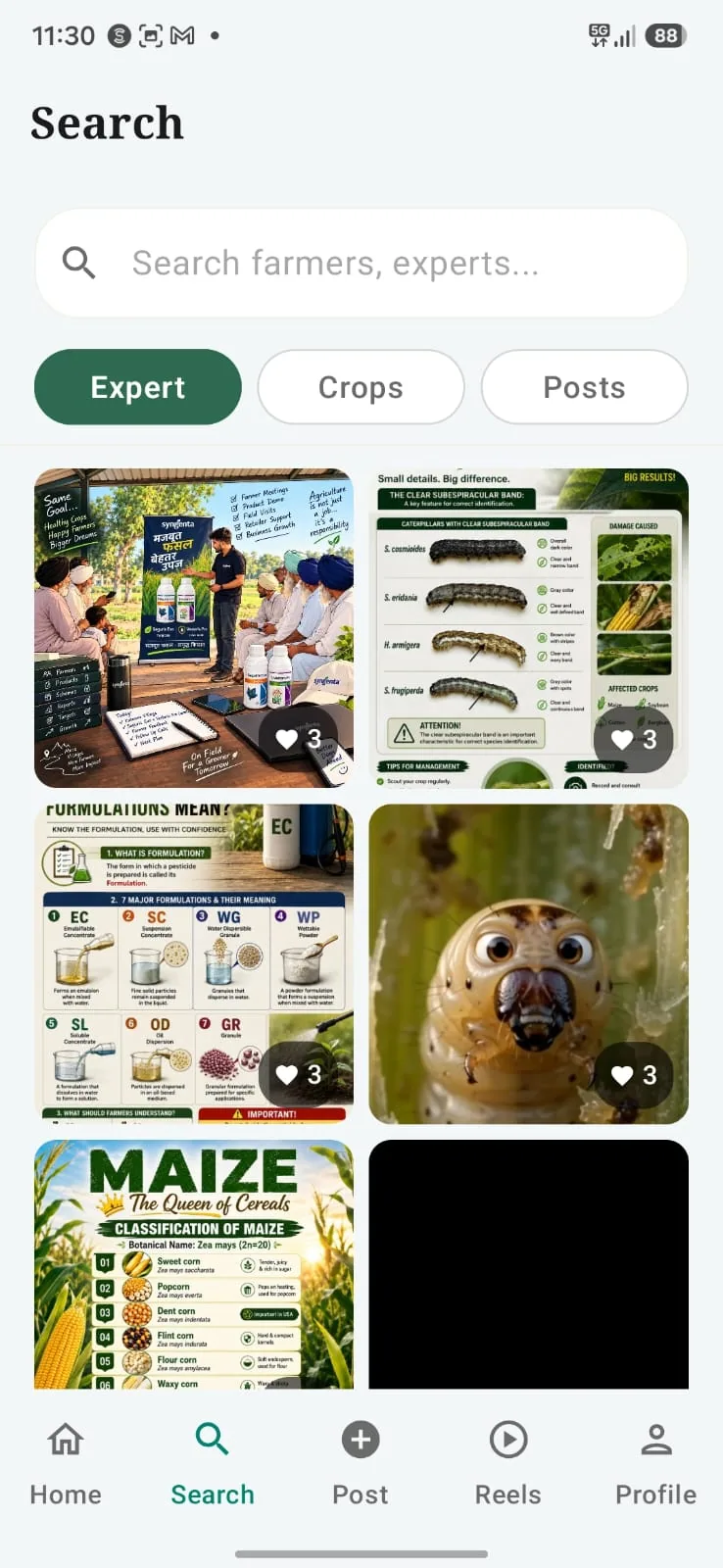 Kissangram app: Search across experts, crops and posts with a grid of results